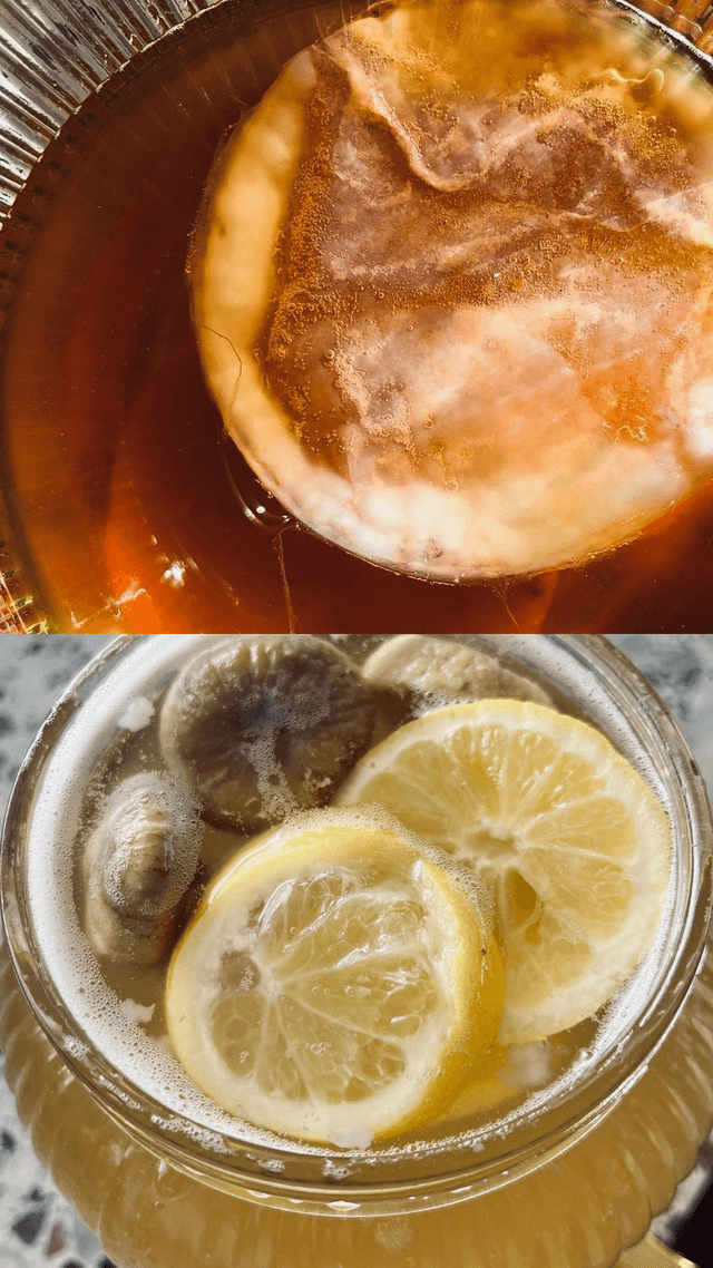 22/06 10h-12h KÉFIR &amp; KOMBUCHA